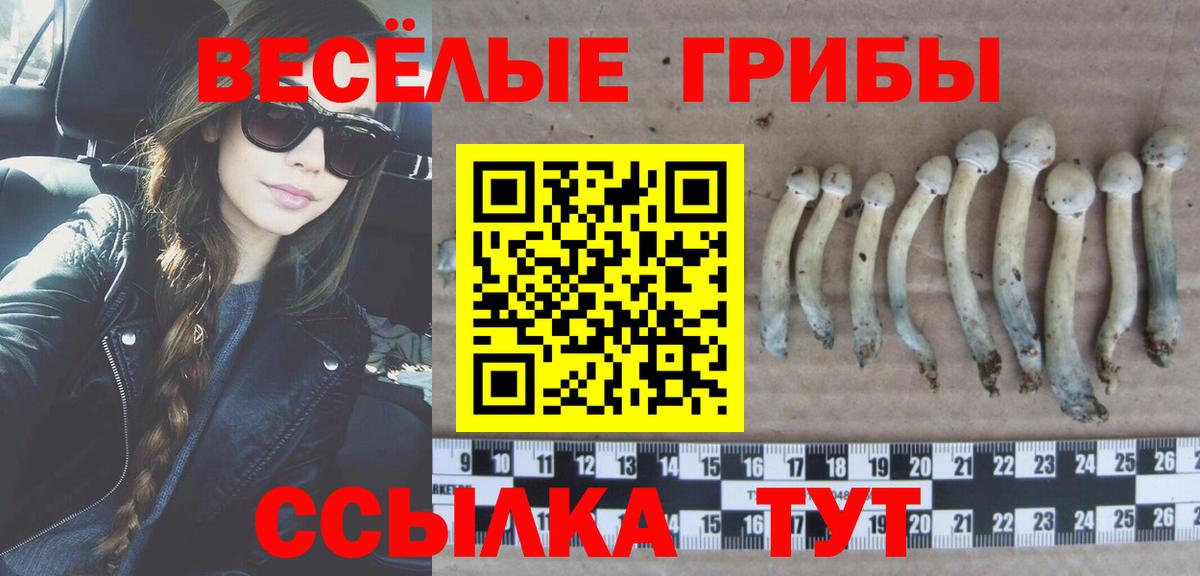Галлюциногенные грибы мухоморы  Вход с VPN  Сибай 